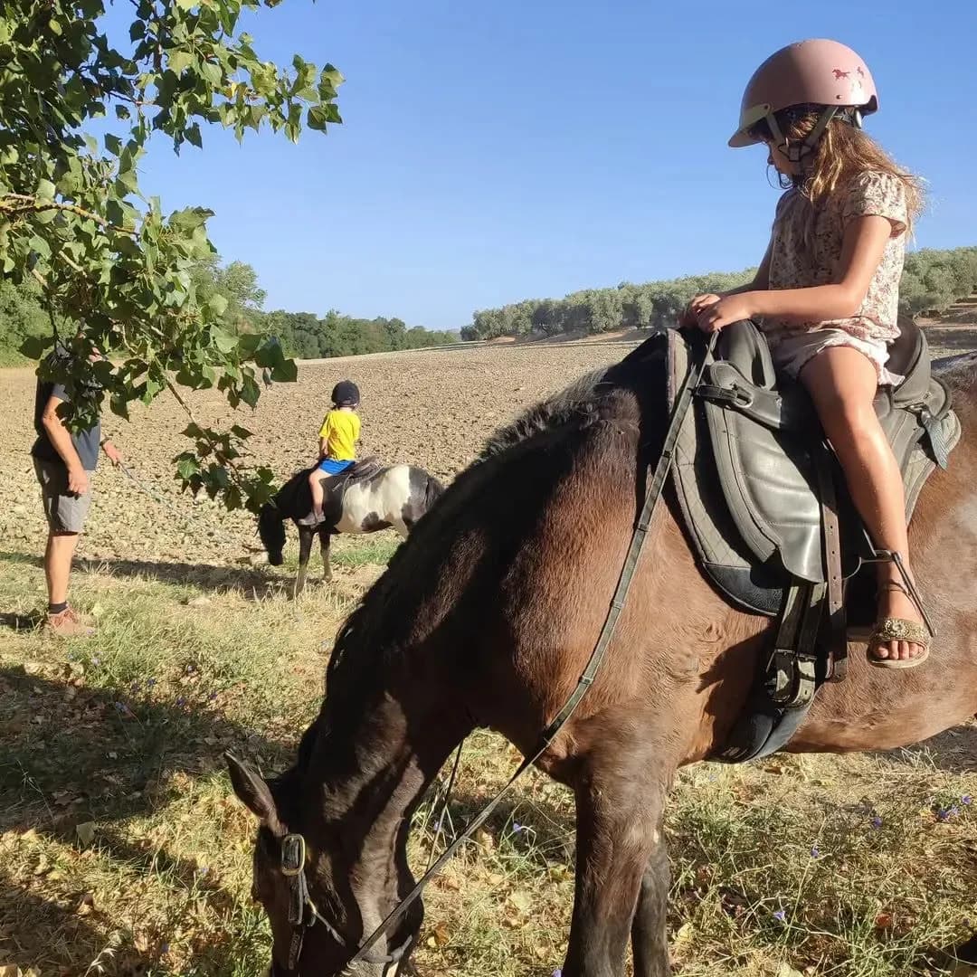 A Busy Week For Riding photo
