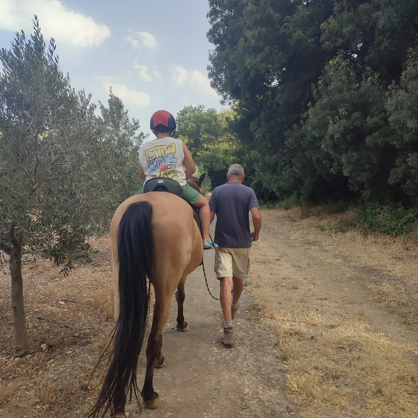 A Typical Summer Day At Cortijo Los Lobos photo
