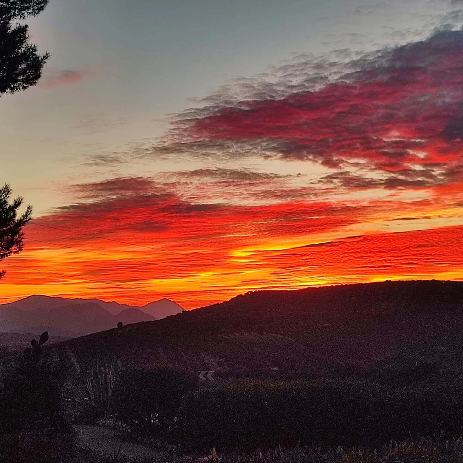 Autumn Is The Best Time For Sunsets photo