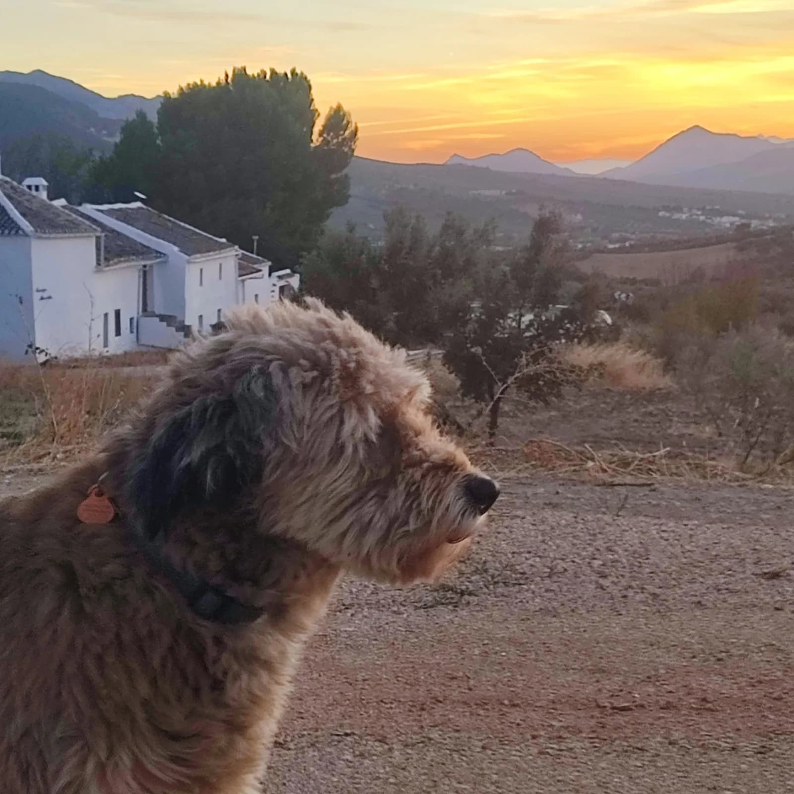 Autumn Is The Best Time For Sunsets photo