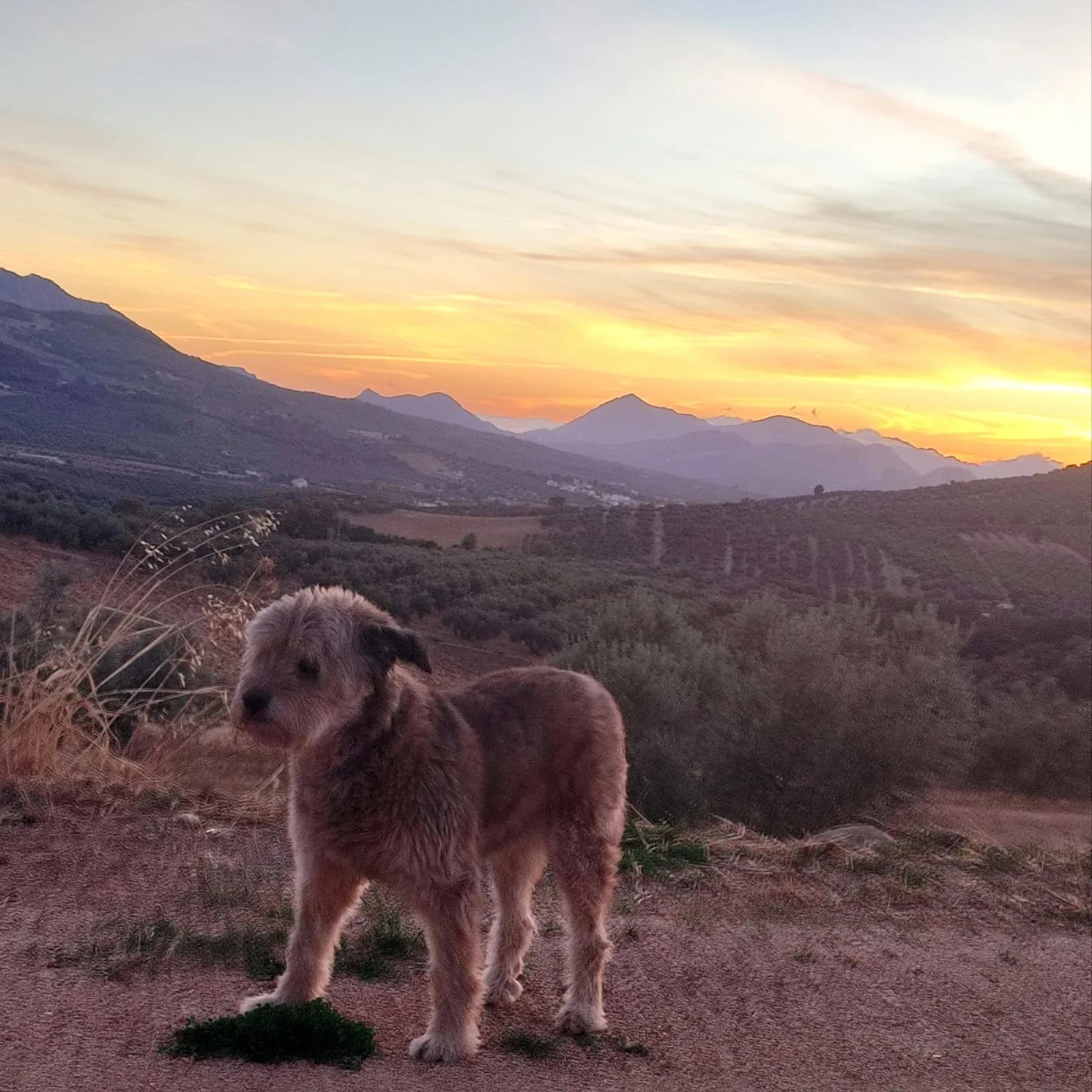 Autumn Is The Best Time For Sunsets photo