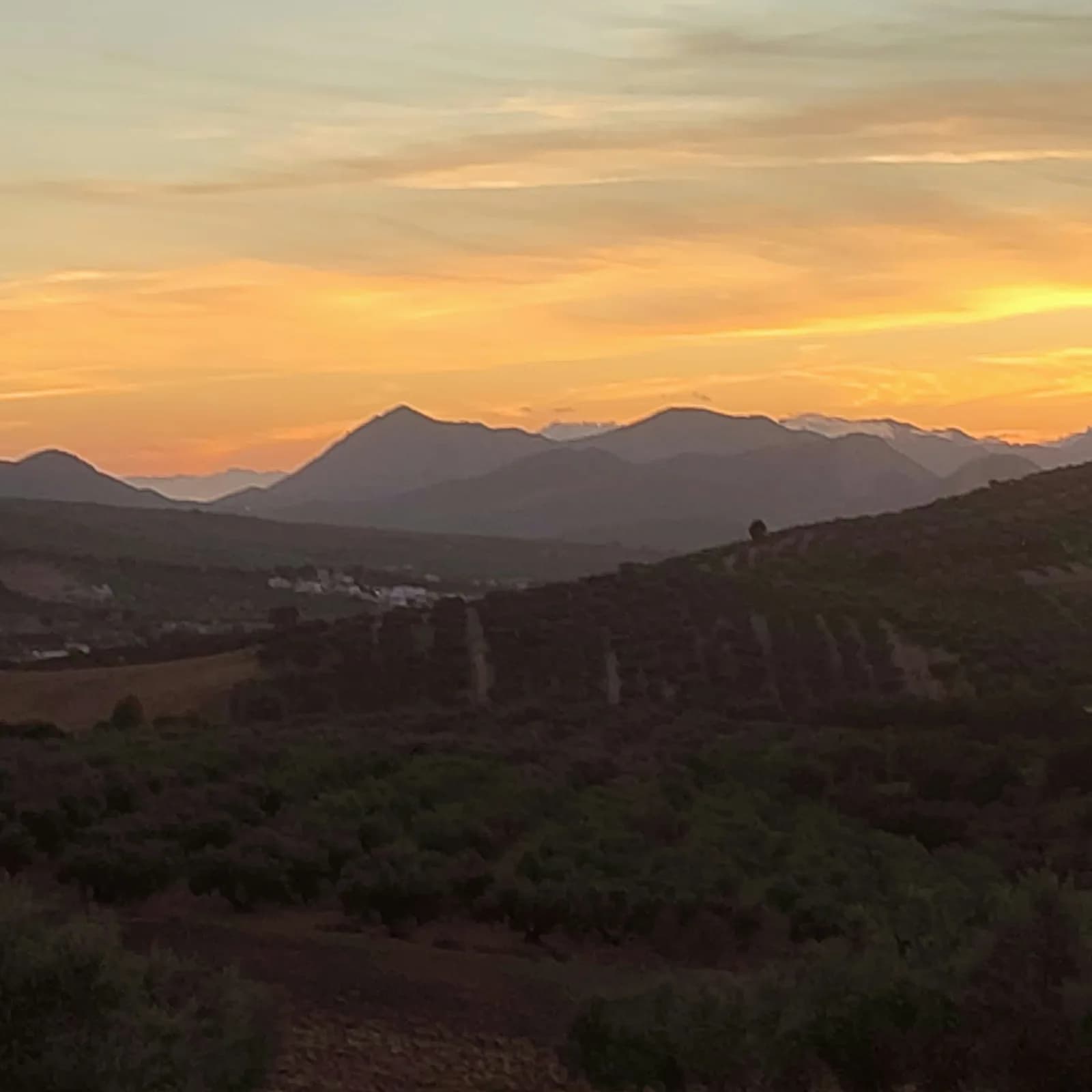 Autumn Is The Best Time For Sunsets photo