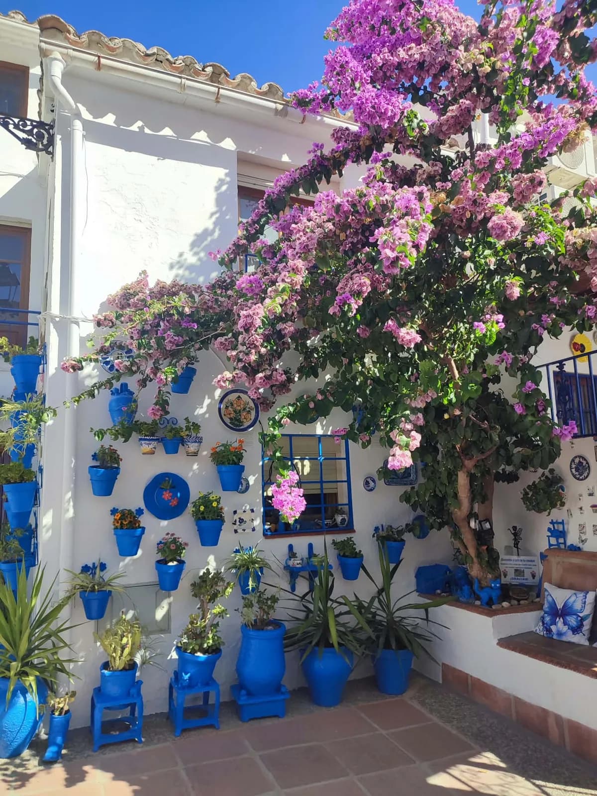 Beautiful Iznajar photo
