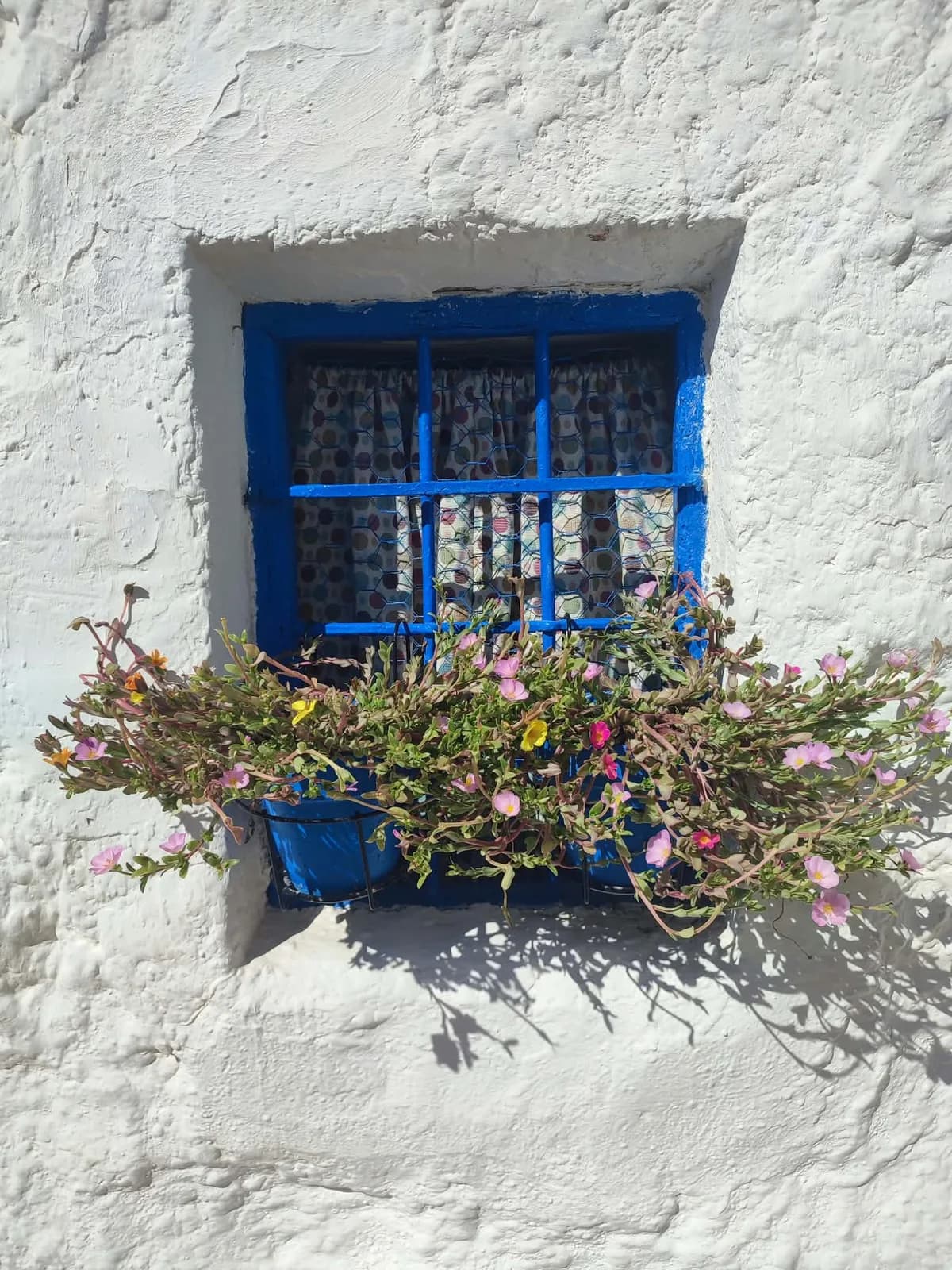 Beautiful Iznajar photo