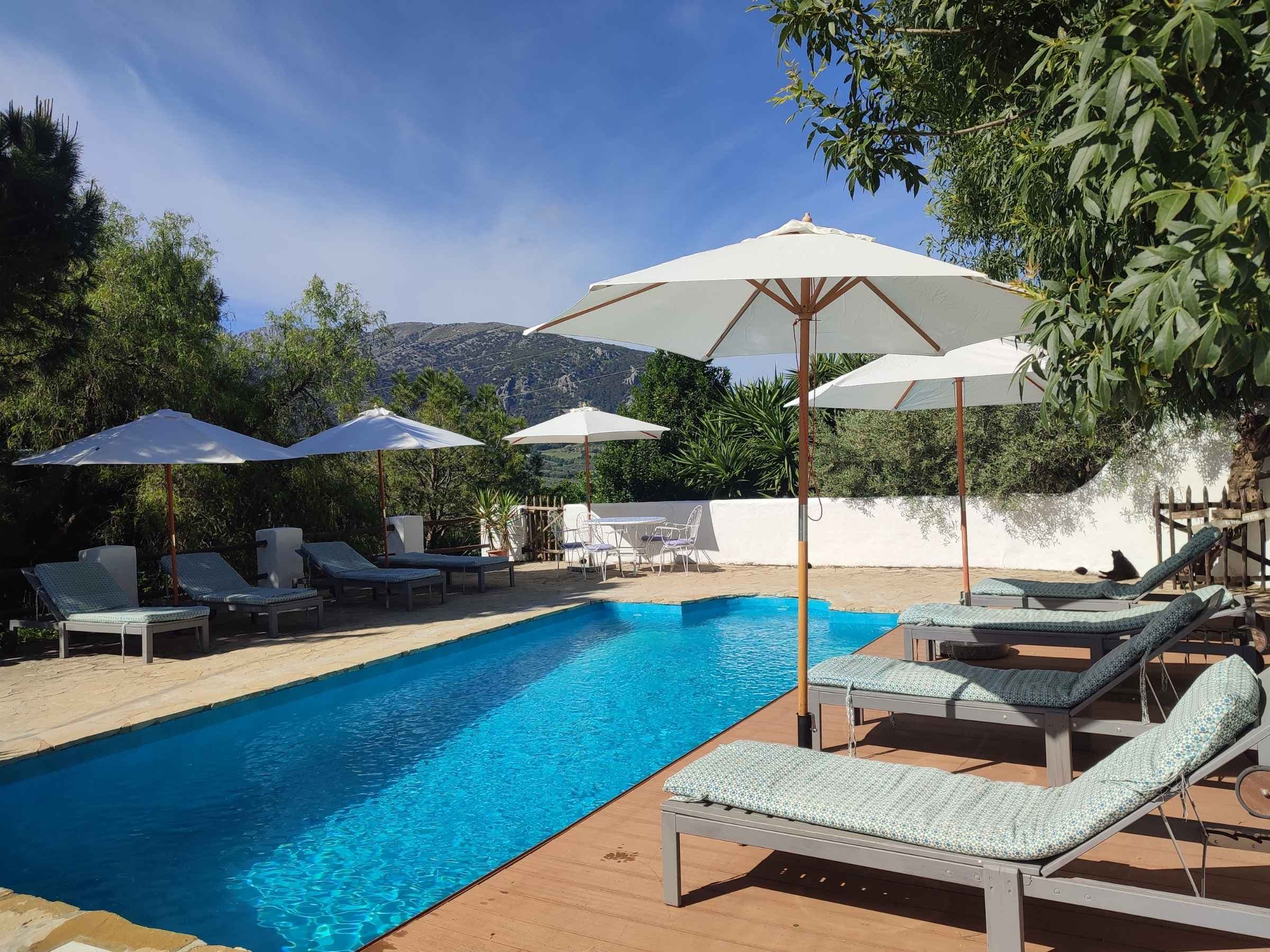 Shared Swimming Pool
