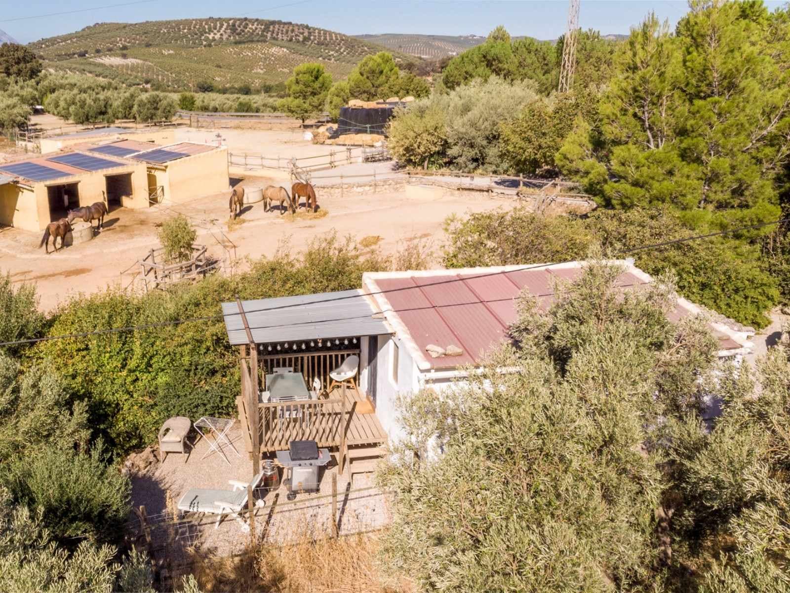 El Jardin Secreto micro-home with private garden