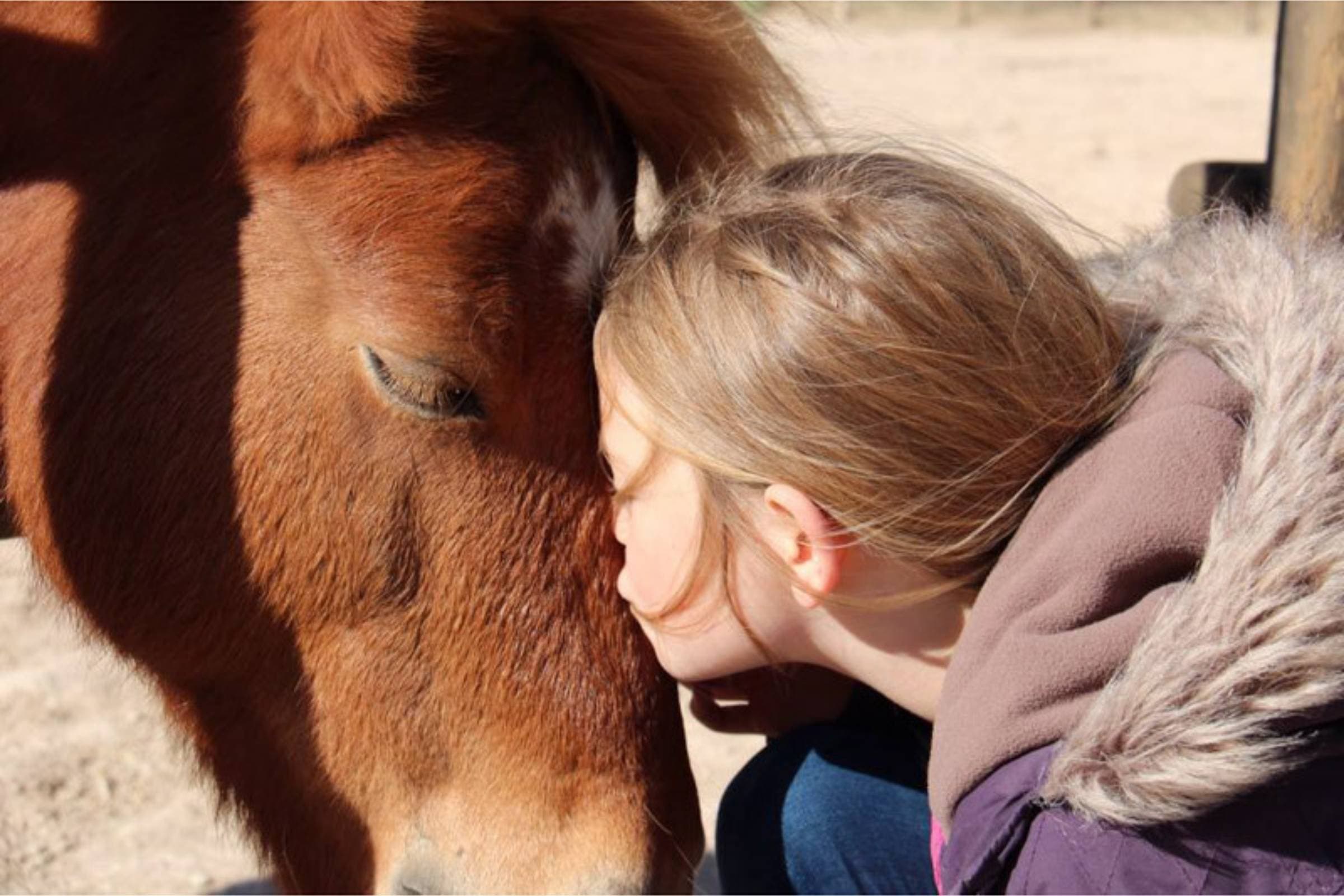 A child spending quiet time with one of the Cortijo Los Lobos horses