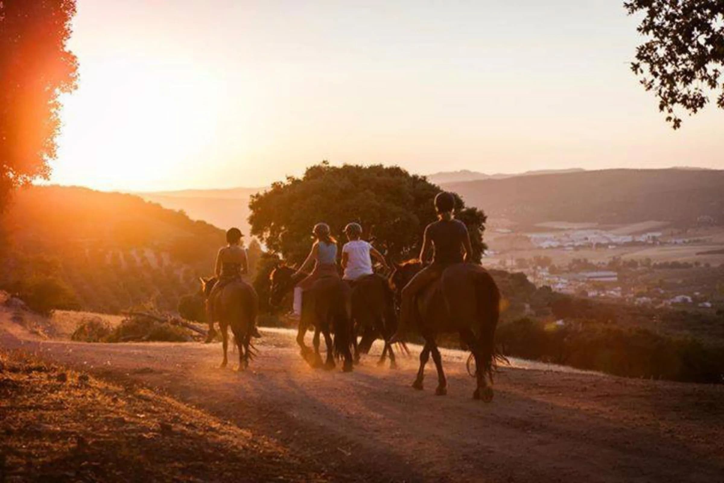 A guest riding one of the Cortijo Los Lobos horses through the Andalusian countryside