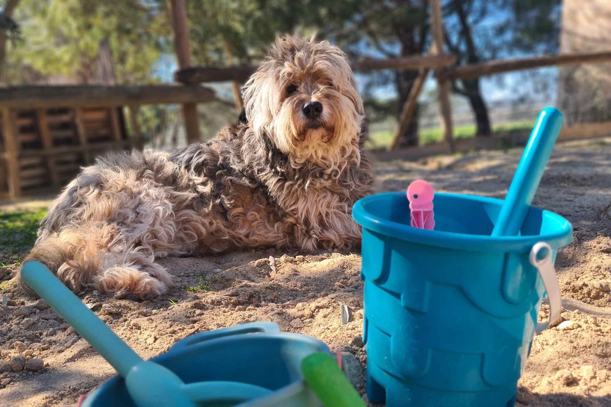 Build sand castles, moats or just enjoy digging and playing.
