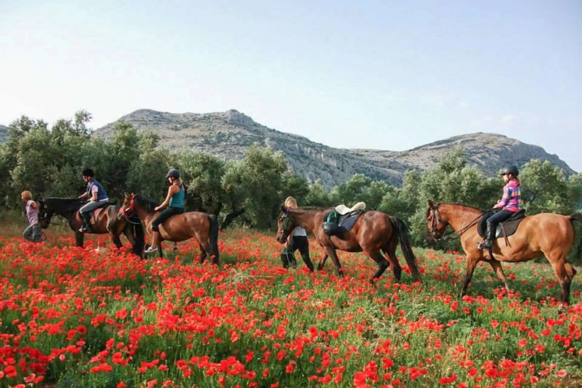 Hiking trail with mountain views near Cortijo Los Lobos