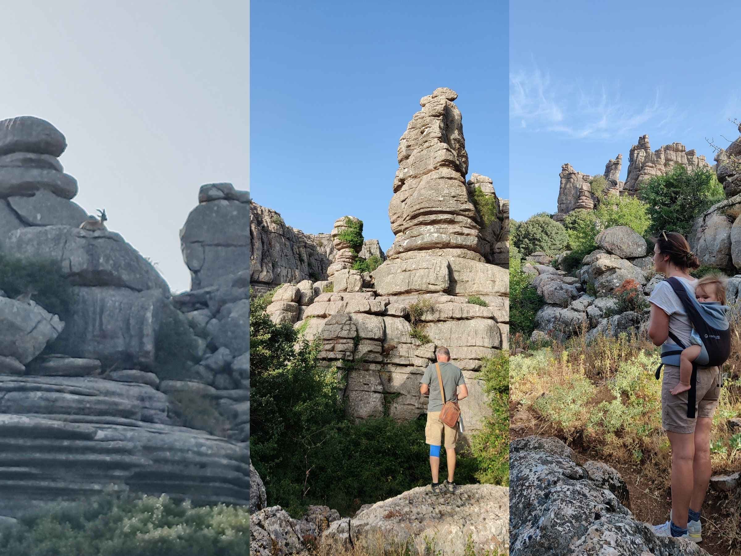 El Torcal rock formations and wild goats