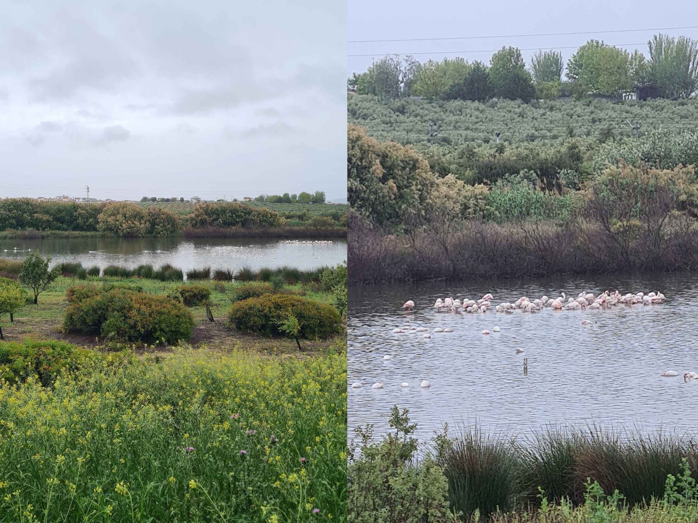 hiking around the flamingo lake