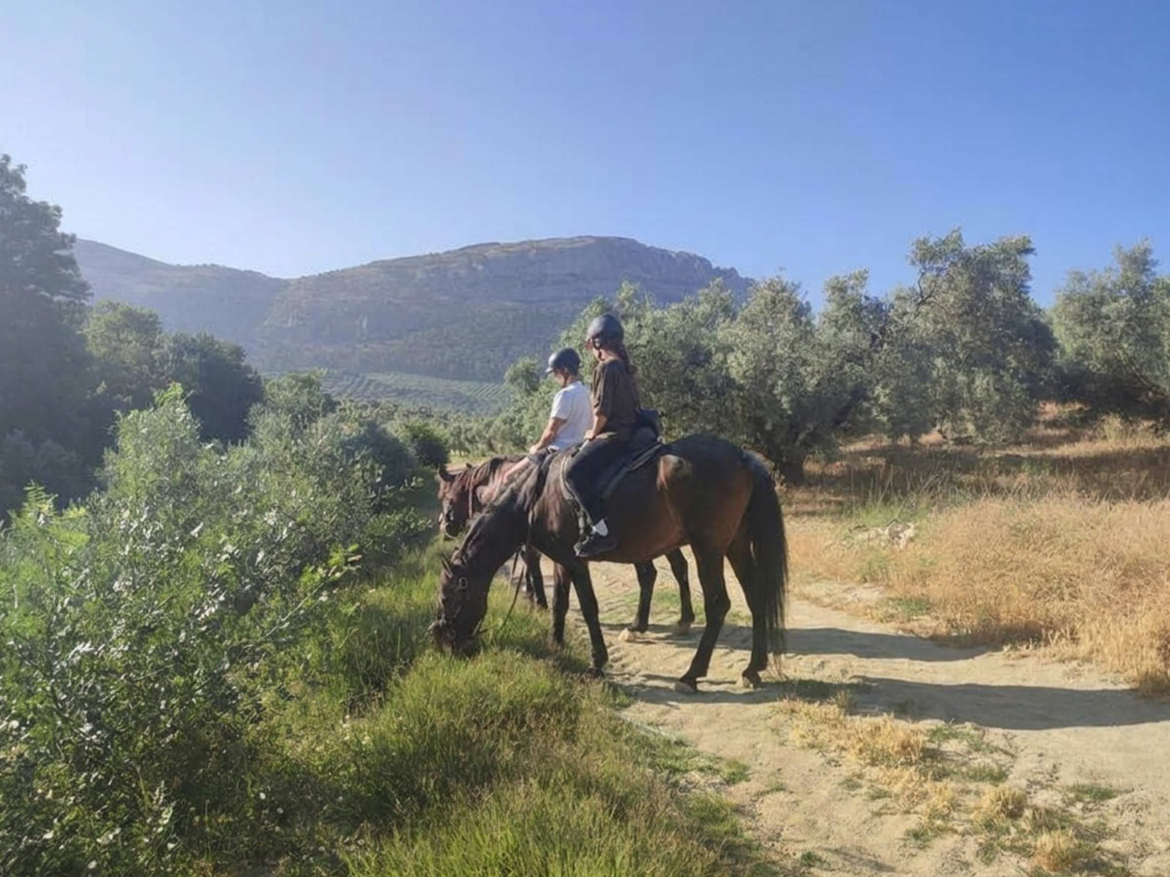 Guest on horseback on a mountain trail at Cortijo Los Lobos