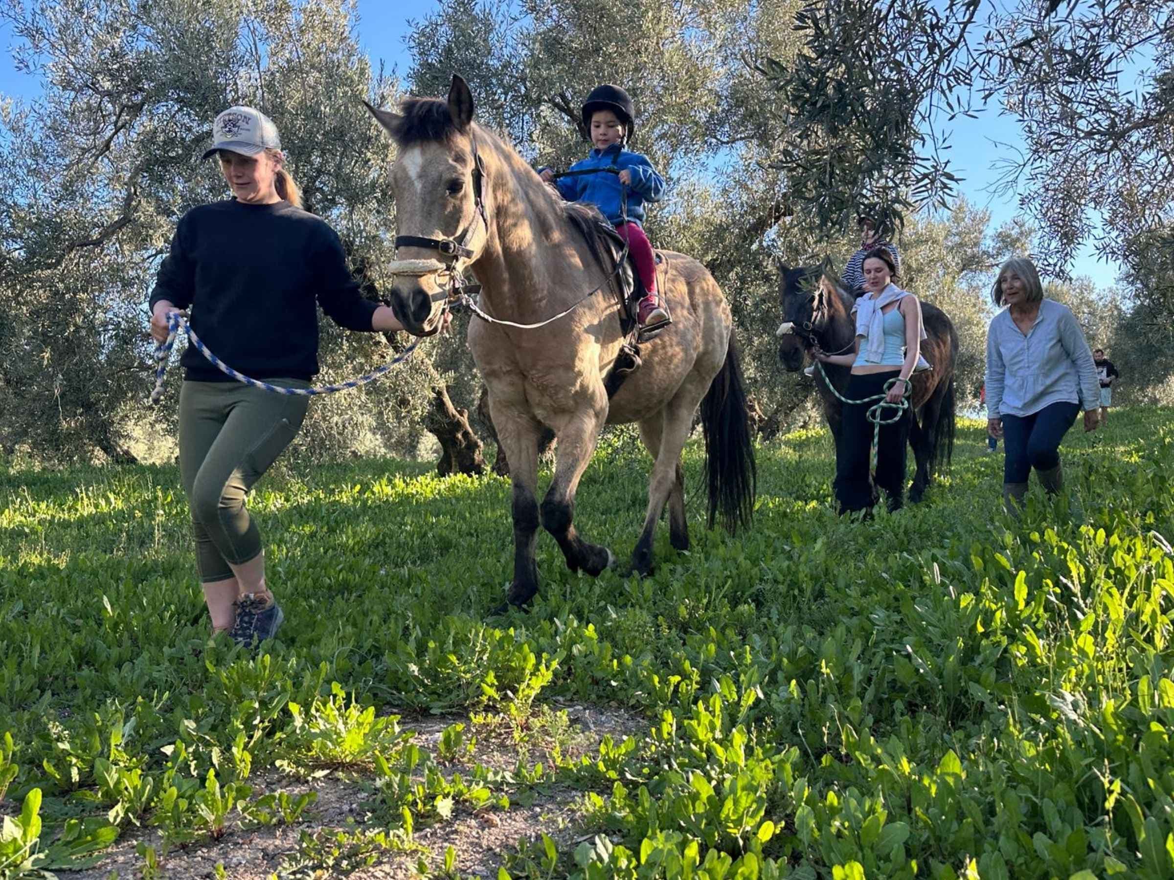 Mountain riding trail near Cortijo Los Lobos