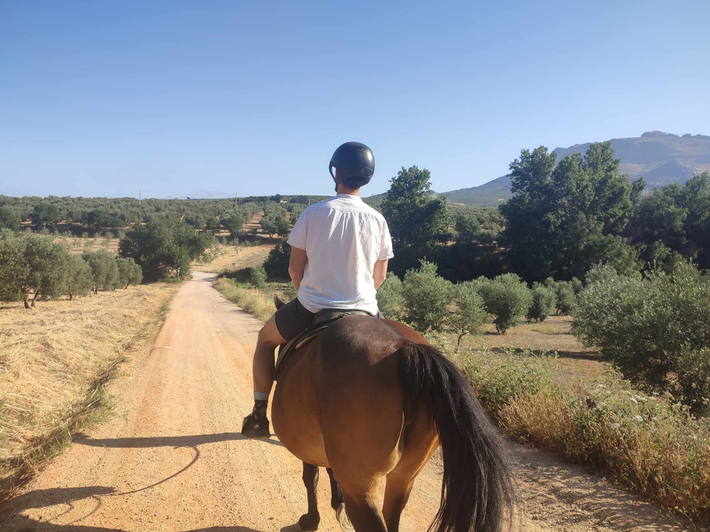 Andalusian countryside views seen during a countryside ride