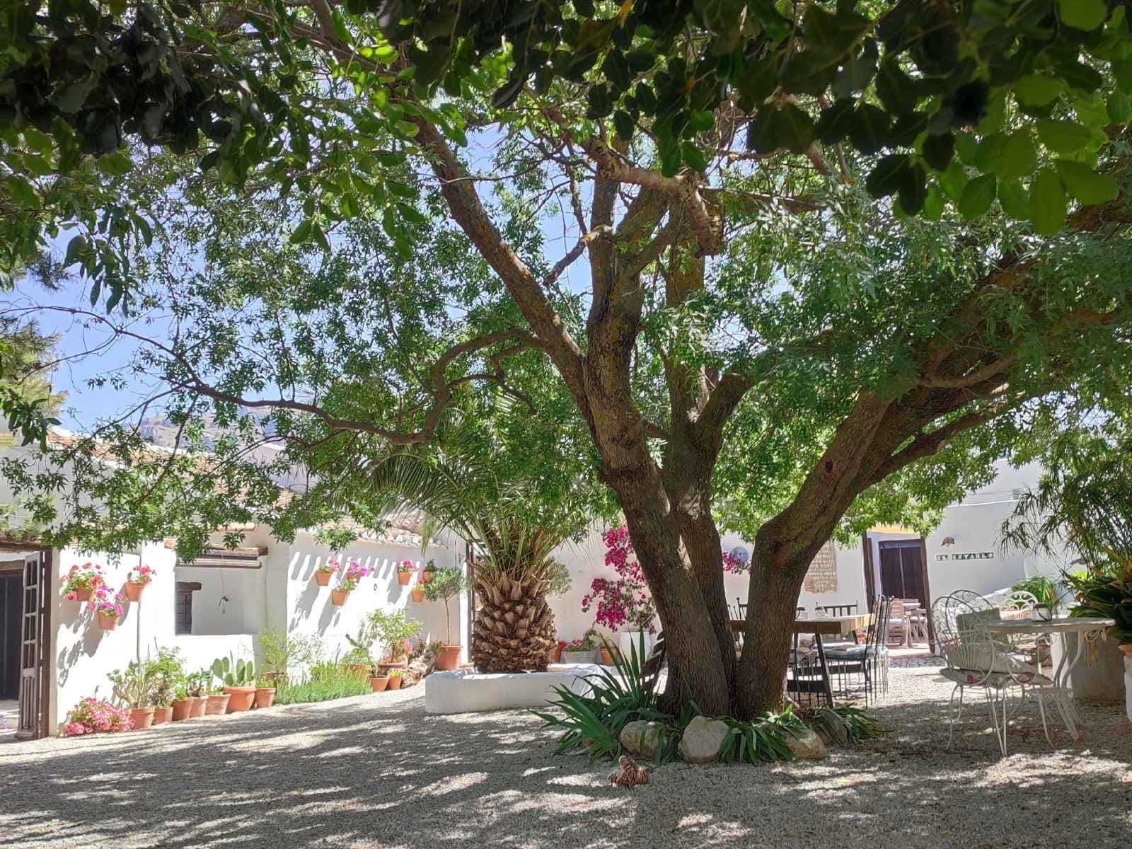Shared courtyard at Cortijo Los Lobos