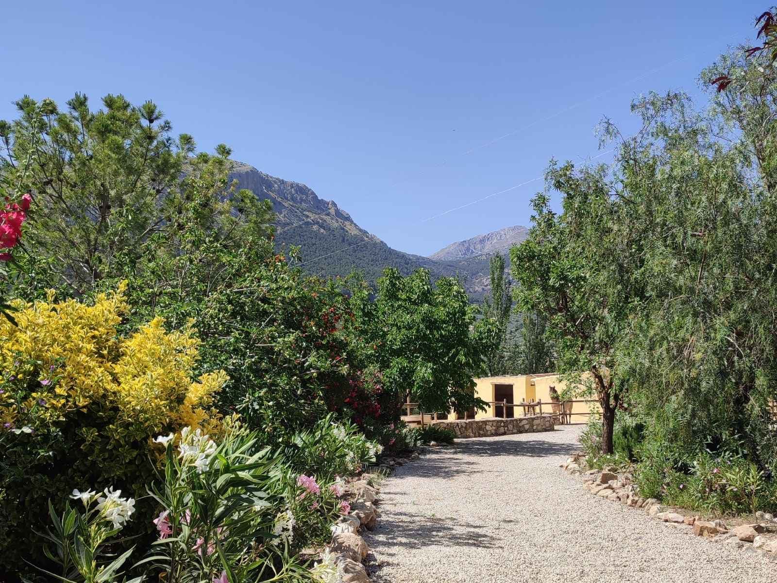 Gardens and outdoor spaces at Cortijo Los Lobos