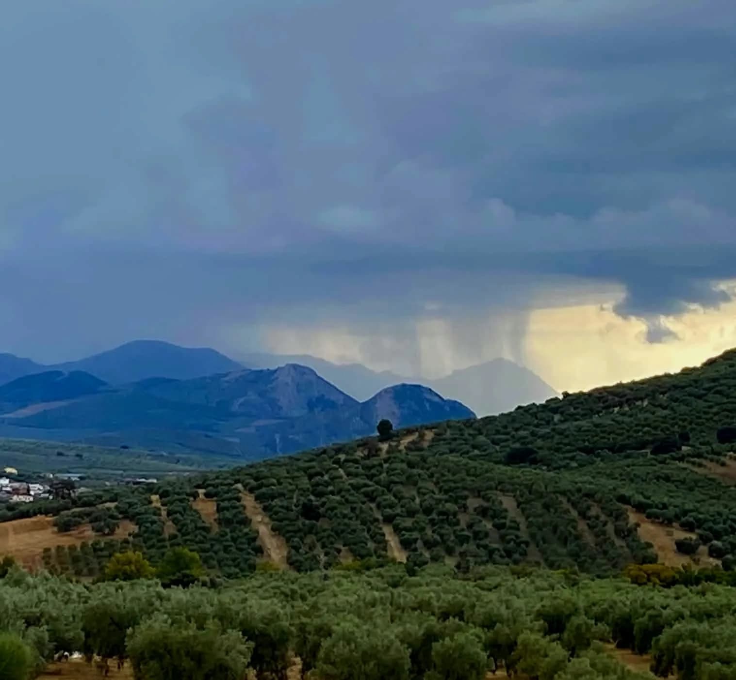 Rain At Last! photo