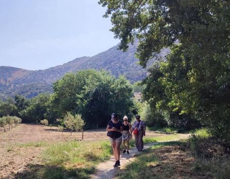 504007055_1256560596473195_1664241229175314425_n