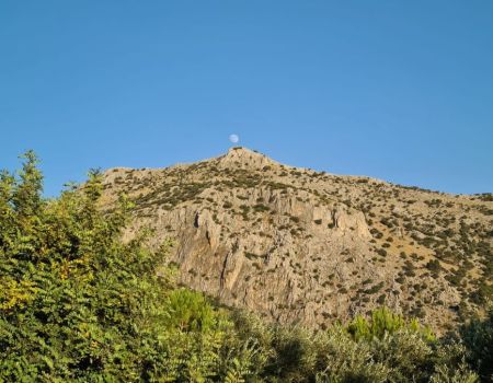 WhatsApp-Image-2024-11-11-at-10.59.32