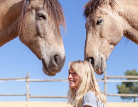 horse-holidays-andalucia-agility-barefoot-trimming-bitless-riding